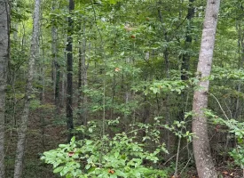 188+/-acres beautiful, wooded property Near Franklin State Forest