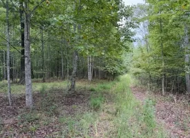 188+/-acres beautiful, wooded property Near Franklin State Forest