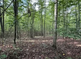 188+/-acres beautiful, wooded property Near Franklin State Forest