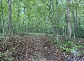 188+/-acres beautiful, wooded property Near Franklin State Forest