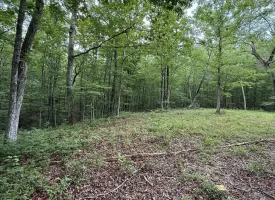 188+/-acres beautiful, wooded property Near Franklin State Forest