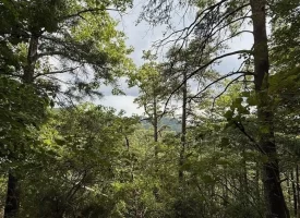 188+/-acres beautiful, wooded property Near Franklin State Forest