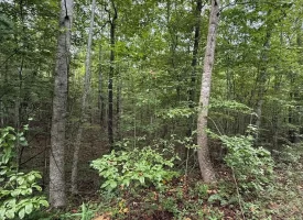 188+/-acres beautiful, wooded property Near Franklin State Forest