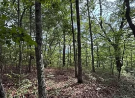 188+/-acres beautiful, wooded property Near Franklin State Forest