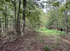 188+/-acres beautiful, wooded property Near Franklin State Forest
