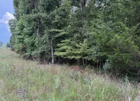 188+/-acres beautiful, wooded property Near Franklin State Forest
