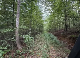 188+/-acres beautiful, wooded property Near Franklin State Forest
