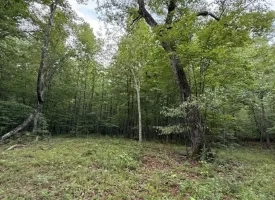 188+/-acres beautiful, wooded property Near Franklin State Forest