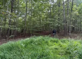 188+/-acres beautiful, wooded property Near Franklin State Forest