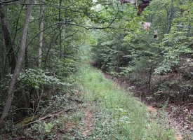 188+/-acres beautiful, wooded property Near Franklin State Forest