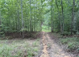 188+/-acres beautiful, wooded property Near Franklin State Forest