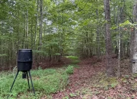 188+/-acres beautiful, wooded property Near Franklin State Forest