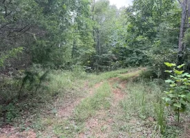 188+/-acres beautiful, wooded property Near Franklin State Forest