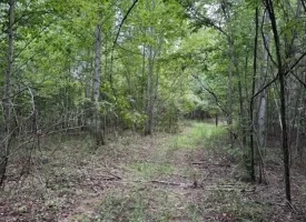 188+/-acres beautiful, wooded property Near Franklin State Forest