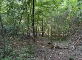 SOLD!! 6.14+/-acres Unrestricted Property with Creek