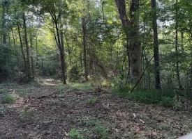 SOLD!! 6.14+/-acres Unrestricted Property with Creek