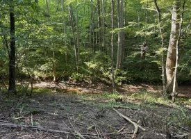 SOLD!! 6.14+/-acres Unrestricted Property with Creek