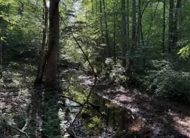 SOLD!! 6.14+/-acres Unrestricted Property with Creek