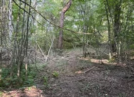 SOLD!! 6.14+/-acres Unrestricted Property with Creek