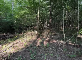 SOLD!! 6.14+/-acres Unrestricted Property with Creek