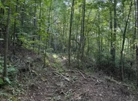 SOLD!! 6.14+/-acres Unrestricted Property with Creek