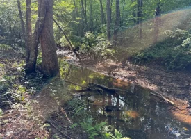 SOLD!! 6.14+/-acres Unrestricted Property with Creek