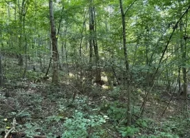 SOLD!! 6.14+/-acres Unrestricted Property with Creek