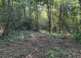 SOLD!! 6.14+/-acres Unrestricted Property with Creek