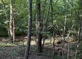 SOLD!! 6.14+/-acres Unrestricted Property with Creek