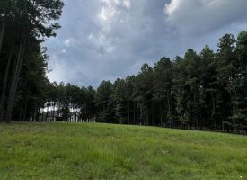 Beautiful Lot in Jasper Highlands
