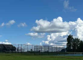 Beautiful Lot in Jasper Highlands