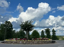 Beautiful Lot in Jasper Highlands