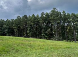 Beautiful Lot in Jasper Highlands