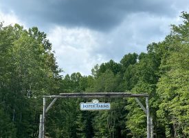 Beautiful Lot in Jasper Highlands