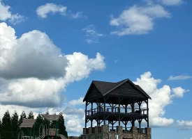 Beautiful Lot in Jasper Highlands