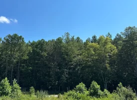 5.12+/-acres Unrestricted Property