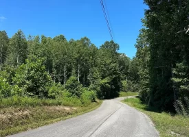 5.12+/-acres Unrestricted Property