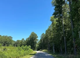 5.12+/-acres Unrestricted Property