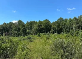 5.12+/-acres Unrestricted Property