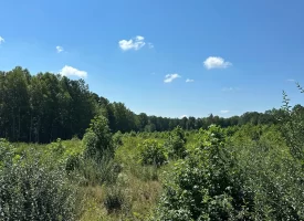 5.12+/-acres Unrestricted Property
