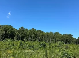 5.12+/-acres Unrestricted Property