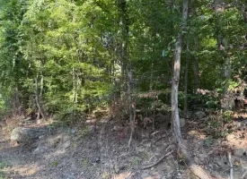 0.46+/-acre wooded lot on Mullins Cove Road in Whitwell TN
