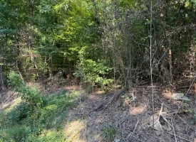 0.46+/-acre wooded lot on Mullins Cove Road in Whitwell TN