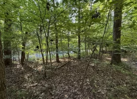 SOLD!! 0.88+/-acre wooded lot on Mullins Cove Road in Whitwell TN.
