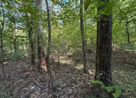 SOLD!! 0.88+/-acre wooded lot on Mullins Cove Road in Whitwell TN.