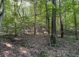 SOLD!! 0.88+/-acre wooded lot on Mullins Cove Road in Whitwell TN.