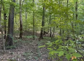 SOLD!! 0.88+/-acre wooded lot on Mullins Cove Road in Whitwell TN.