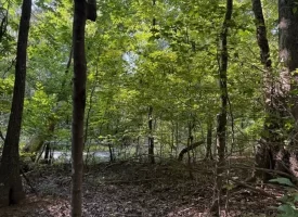 SOLD!! 0.88+/-acre wooded lot on Mullins Cove Road in Whitwell TN.