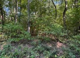 SOLD!! 0.88+/-acre wooded lot on Mullins Cove Road in Whitwell TN.