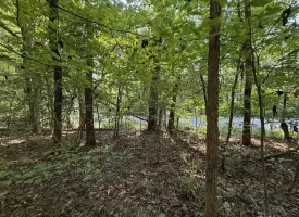 SOLD!! 0.88+/-acre wooded lot on Mullins Cove Road in Whitwell TN.